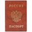 Обложка для паспорта ДПС, ПВХ, тиснение 