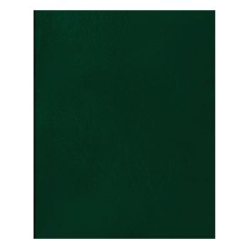 Тетрадь 96л., А5 клетка BG, бумвинил, зеленый