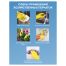Перчатки резиновые хозяйственные OfficeClean ЛЮКС, многоразовые, хлопчатобумажное напыление, плотные, р.S, желтые, пакет с европодвесом