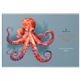Альбом для рисования 24л., А4, на скрепке Greenwich Line "Octopus", 120г/м2